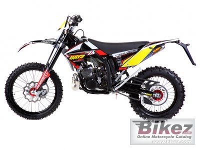 2010 GAS GAS EC 250 2T Six-Days photo